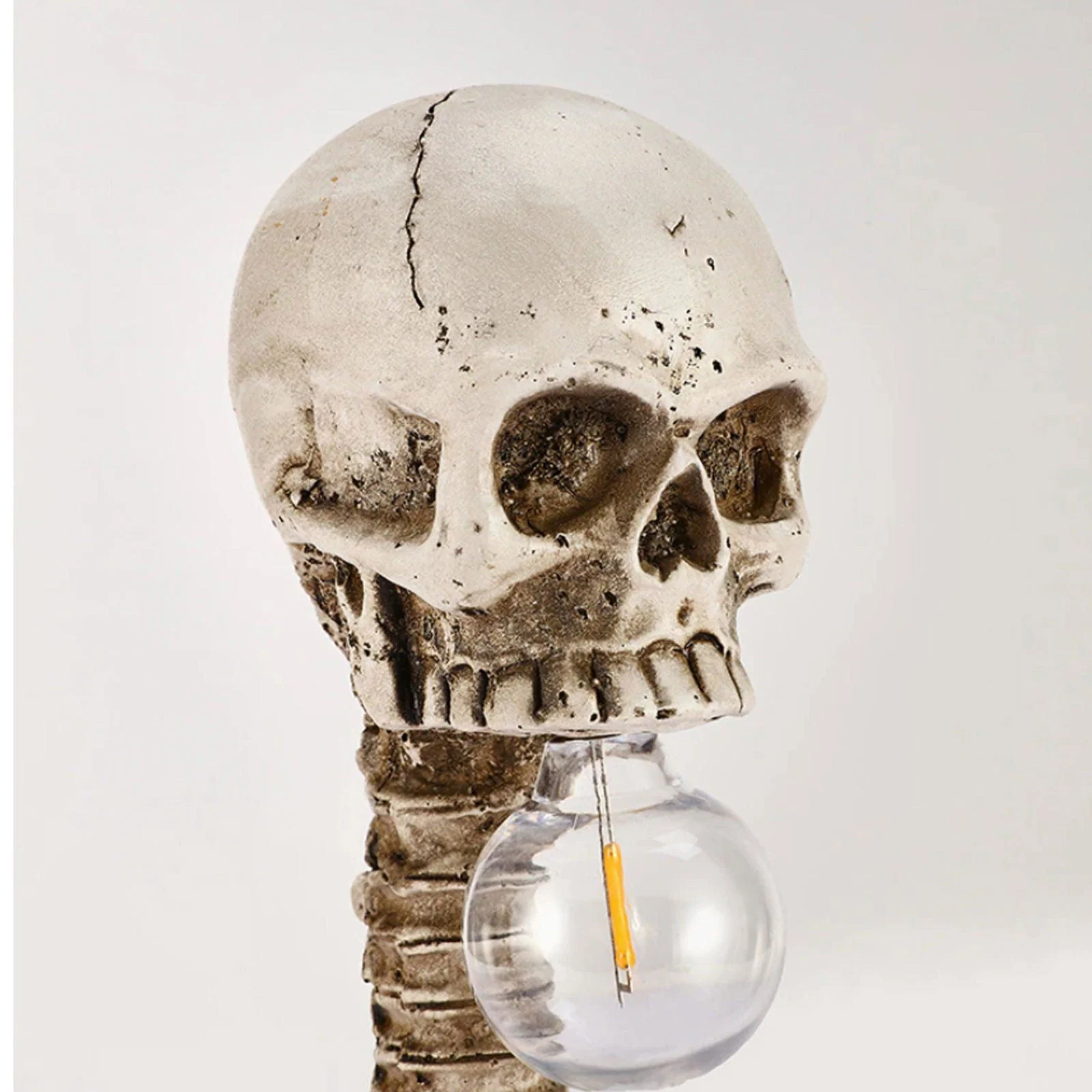 Horror Skull with Spine Lamp -