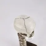 Horror_Skull_with_Spine_Lamp_-_-4297905 Horror Skull with Spine Lamp