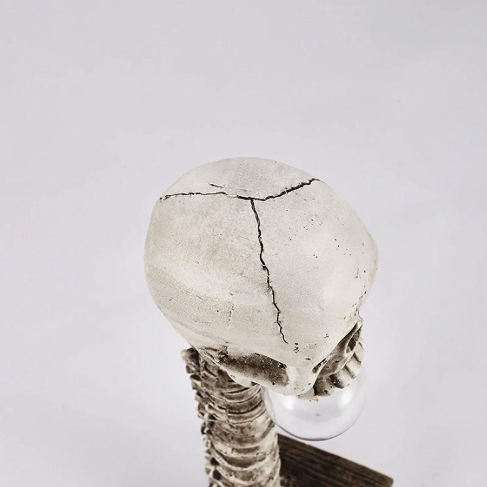 Horror Skull with Spine Lamp -