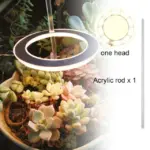 Houseplant Halo