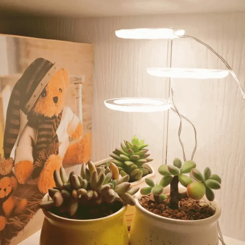 Houseplant Halo