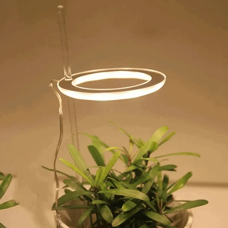 Houseplant Halo