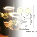 Houseplant Halo