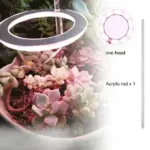 Houseplant Halo