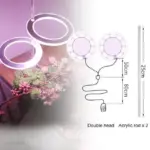 Houseplant Halo