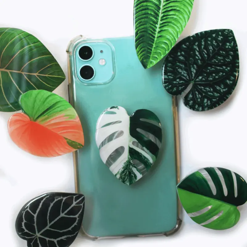 Houseplant Phone Socket