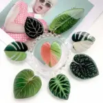 Houseplant Phone Socket