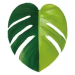 Houseplant Phone Socket