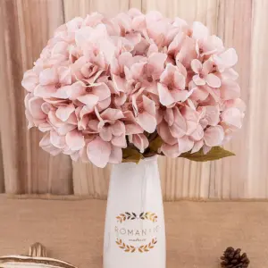 Hydrangea