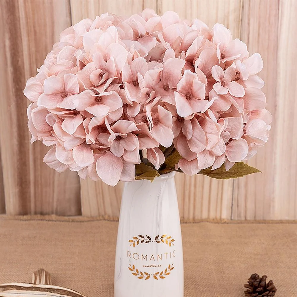 Hydrangea -  - #tag1#