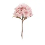 Hydrangea tag1