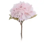 Hydrangea tag1