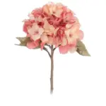 Hydrangea tag1