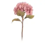 Hydrangea tag1