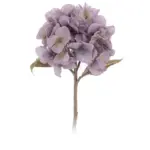 Hydrangea tag1