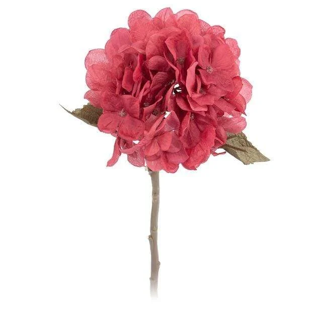 Hydrangea -  - #tag1#