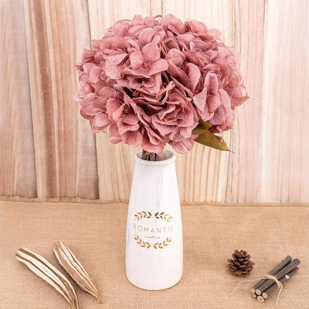 Hydrangea -  - #tag1#