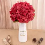 Hydrangea tag1