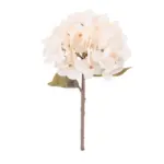 Hydrangea tag1