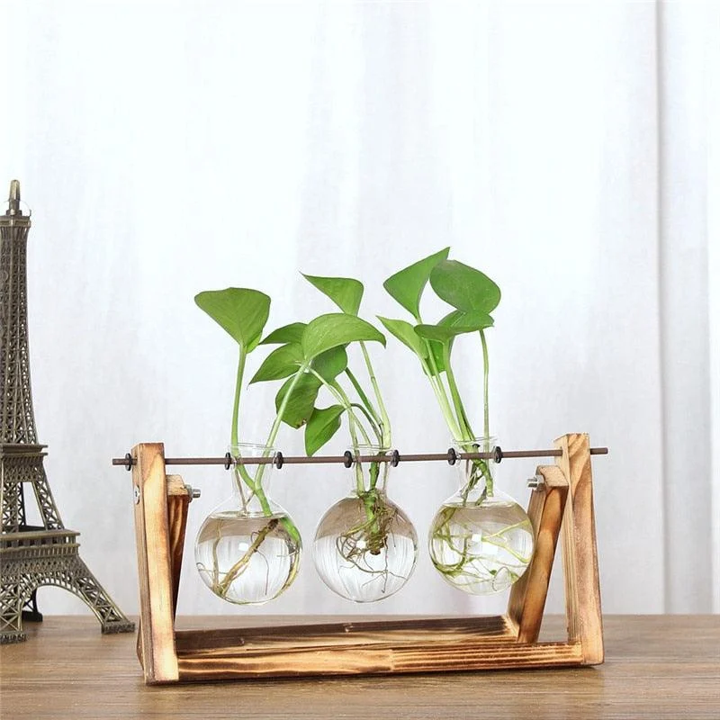 Hydroponic Vintage Flower Vases Plant Vase Creative Wooden Frame Decorative Home Bonsai Decor Transparent Glass Tabletop