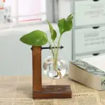 HydroponicPlantPropagationTree-Homeko1 HydroponicPlantPropagationTree Homeko1
