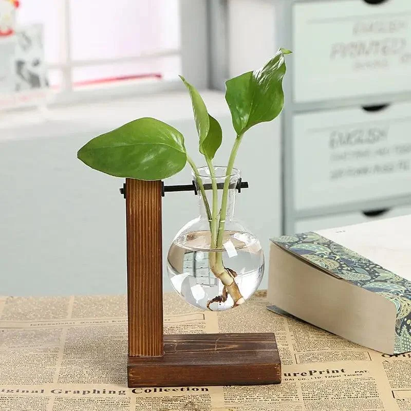 Hydroponic Plant Propagation Tree - Homeko