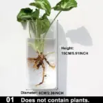 Hydroponic_Glass_Pot_-_-_tag1_-4275763 Hydroponic Glass Pot tag1