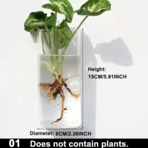 Hydroponic Glass Pot