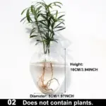 Hydroponic_Glass_Pot_-_-_tag1_-4275776 Hydroponic Glass Pot tag1