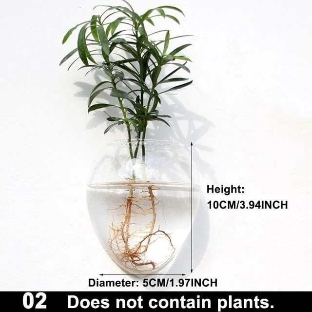 Hydroponic Glass Pot -  - #tag1#