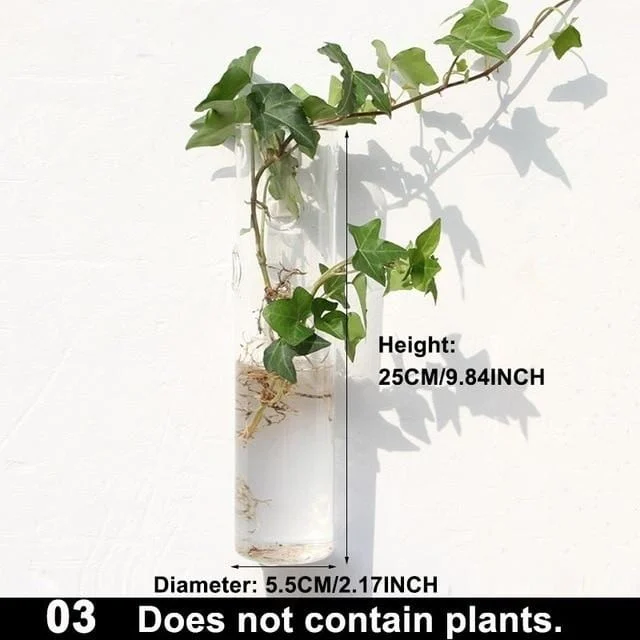 Hydroponic Glass Pot -  - #tag1#