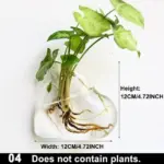 Hydroponic_Glass_Pot_-_-_tag1_-4275784 Hydroponic Glass Pot tag1