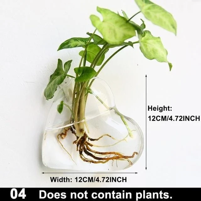 Hydroponic Glass Pot -  - #tag1#