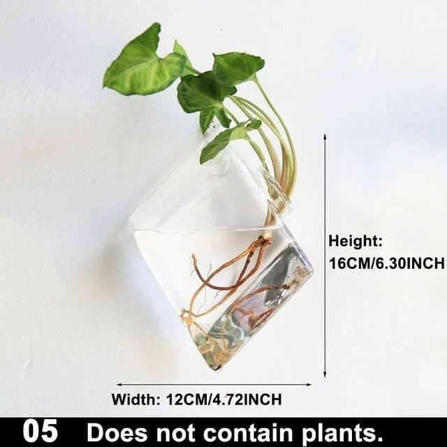 Hydroponic Glass Pot -  - #tag1#