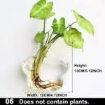 Hydroponic_Glass_Pot_-_-_tag1_-4275789 Hydroponic Glass Pot tag1