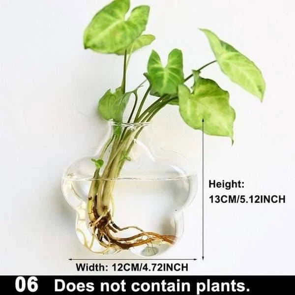 Hydroponic Glass Pot -  - #tag1#
