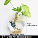 Hydroponic_Glass_Pot_-_-_tag1_-4275793 Hydroponic Glass Pot tag1