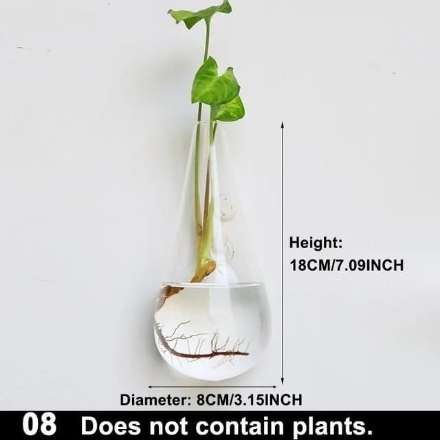 Hydroponic Glass Pot -  - #tag1#