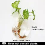 Hydroponic_Glass_Pot_-_-_tag1_-4275802 Hydroponic Glass Pot tag1