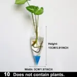Hydroponic_Glass_Pot_-_-_tag1_-4275804 Hydroponic Glass Pot tag1