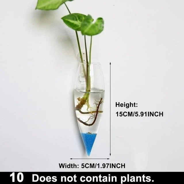 Hydroponic Glass Pot -  - #tag1#