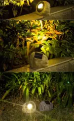 IMG_7092 IMG