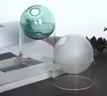 Indoor Colorful Glass Hydroponic Vase