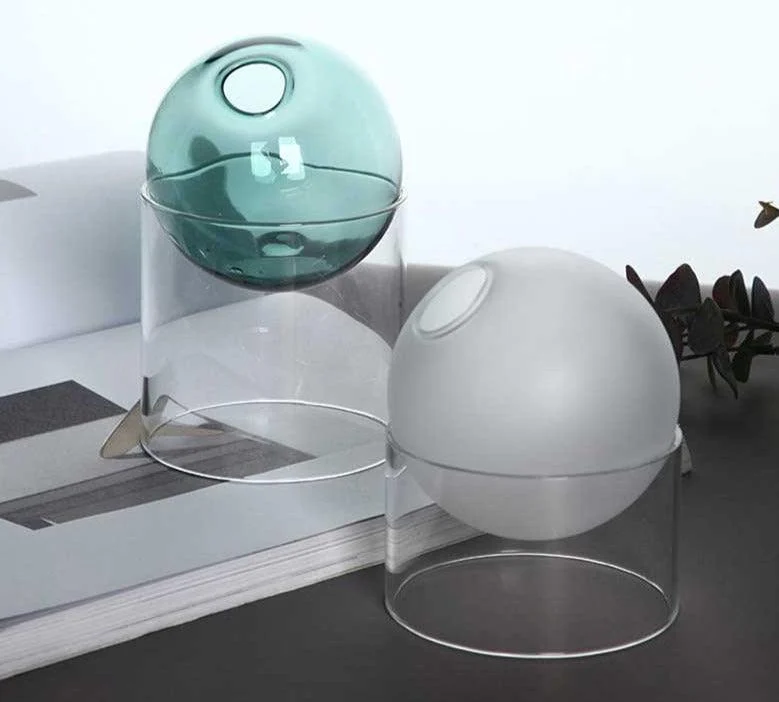 Indoor Colorful Glass Hydroponic Vase -