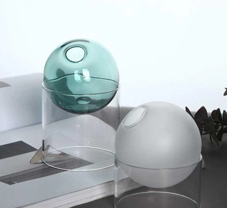 Indoor Colorful Glass Hydroponic Vase -