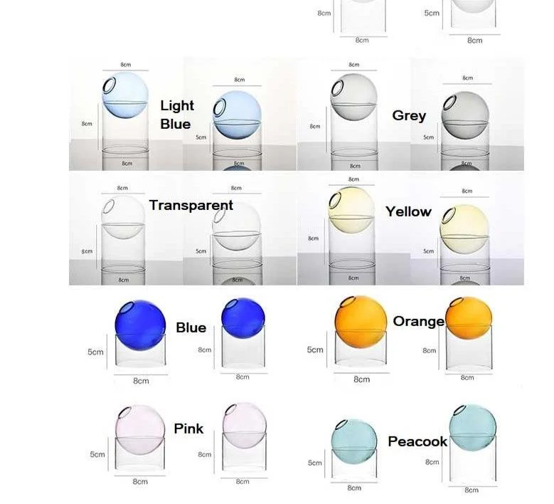 Indoor Colorful Glass Hydroponic Vase -