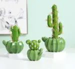 Indoor Green Cactus Pot Planter