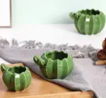 Indoor Green Cactus Pot Planter