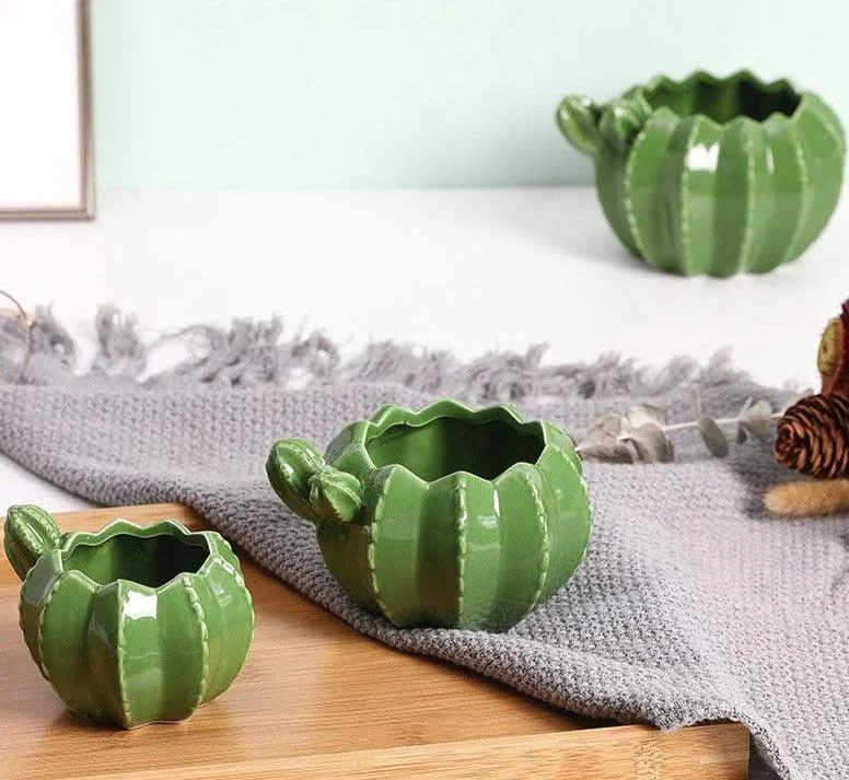 Indoor Green Cactus Pot Planter -