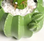 Indoor Green Cactus Pot Planter